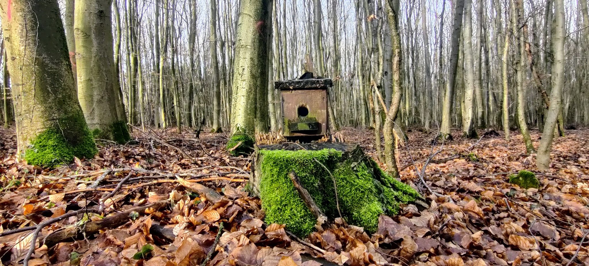 IMG 20230204 104029~2