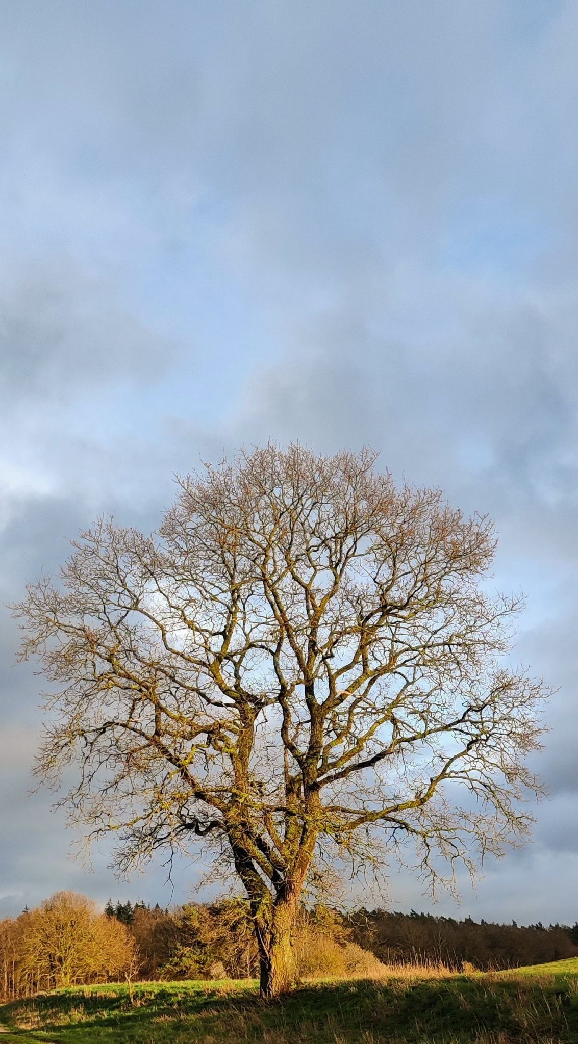 IMG 20230411 190937~2