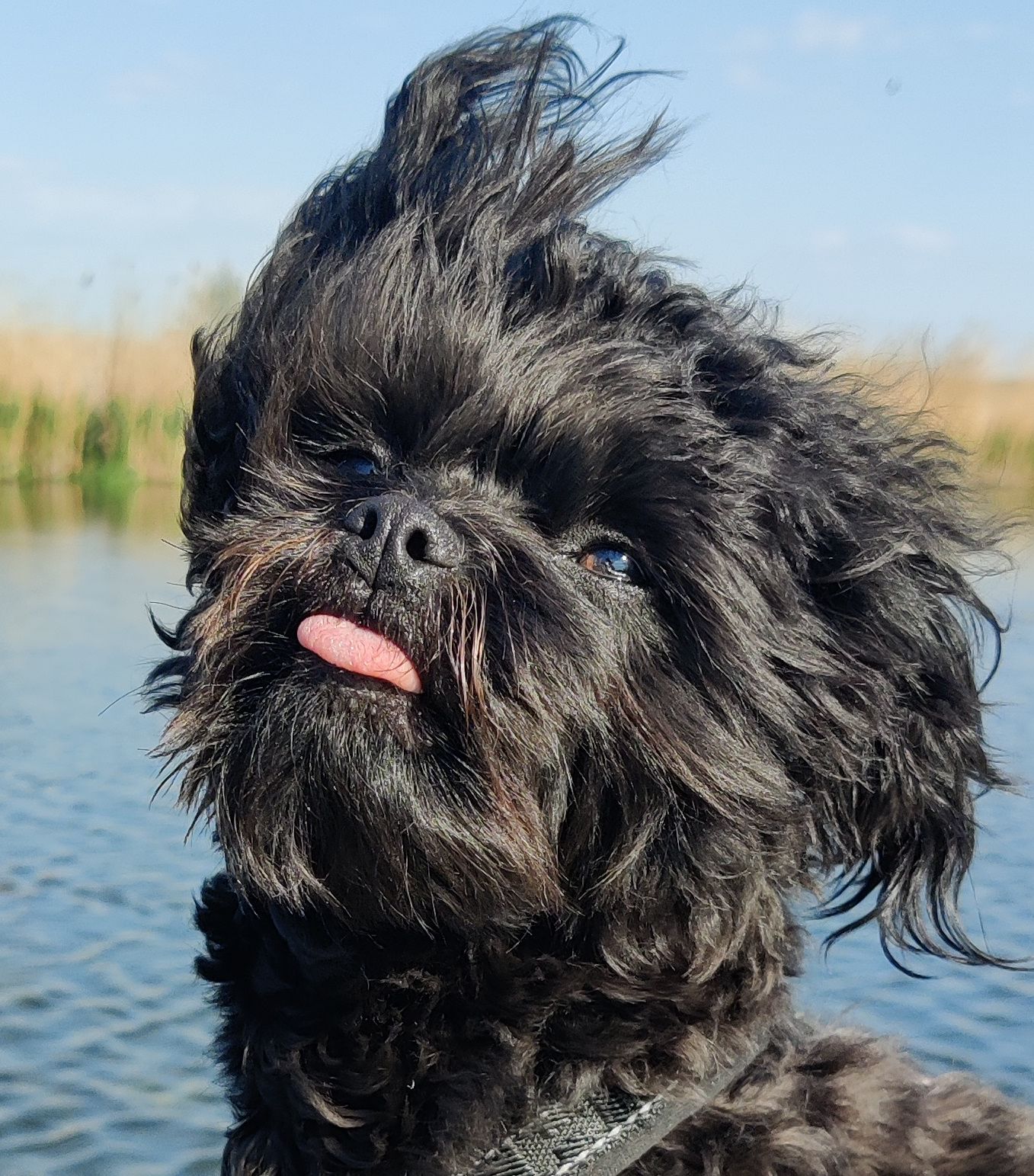 IMG 20230513 172241~2