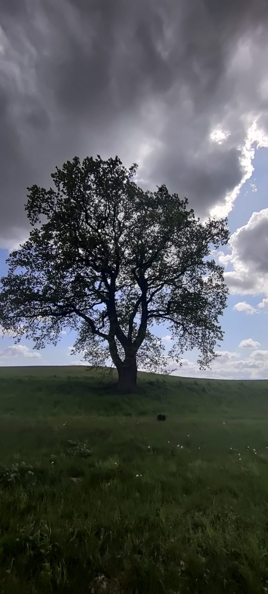 IMG 20230516 153427 01