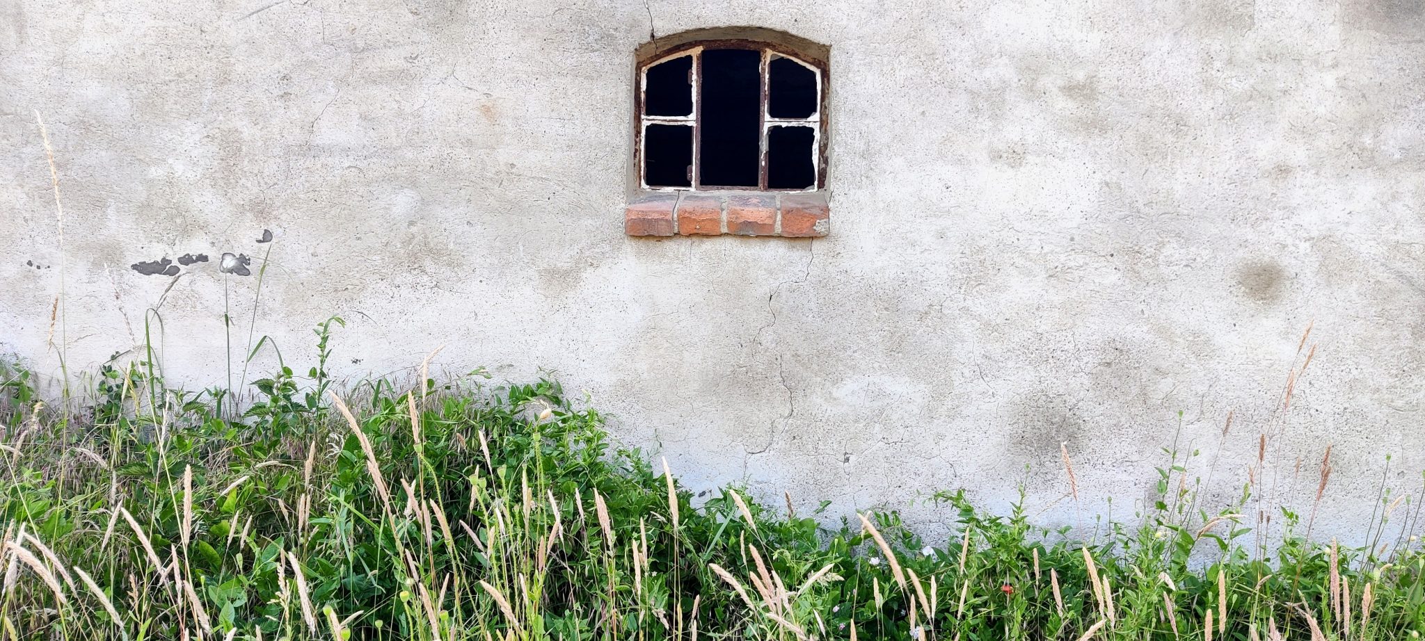 IMG 20230613 194128~2