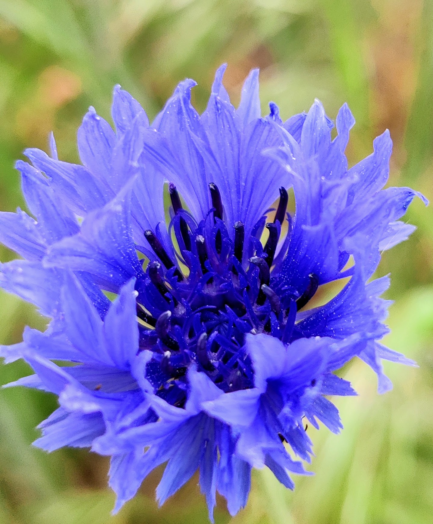 original 2e9b5004 99a7 47e8 86d8 8a48e29a6bc7 IMG 20230524 190722