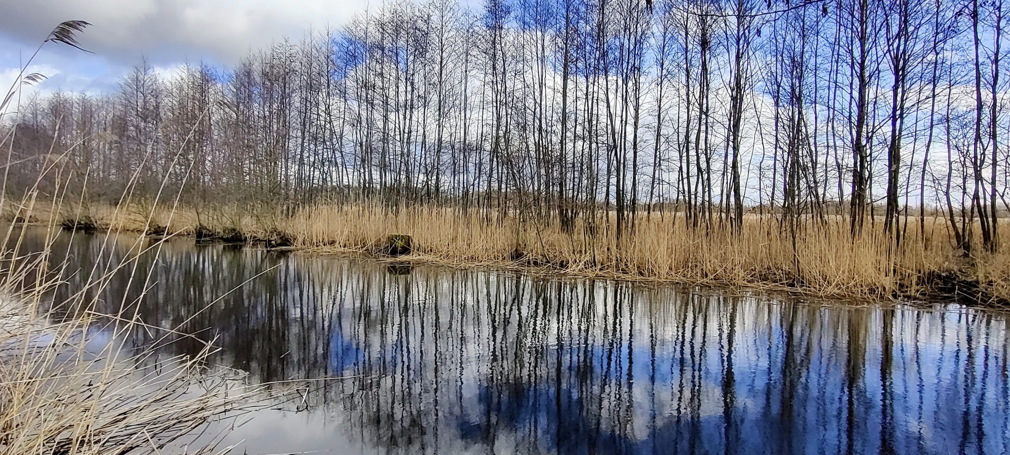 original 429bd630 7469 4040 8f25 6eff02df9fb4 IMG 20230304 130459